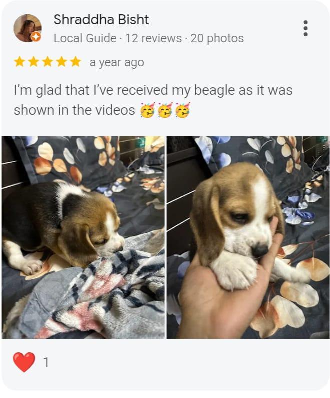 Customer review 2