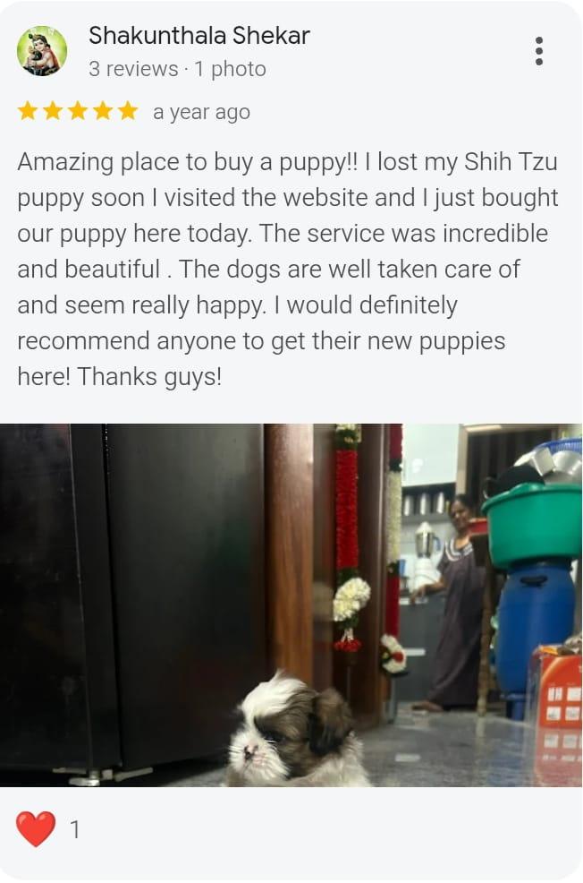 Customer review 3