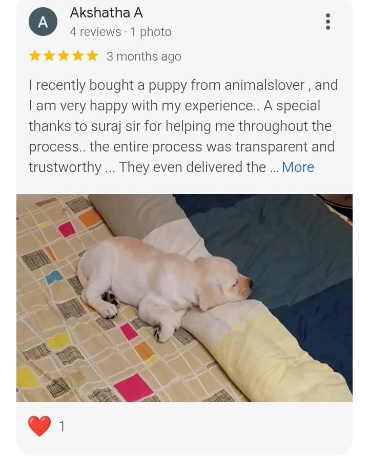 Customer review 4