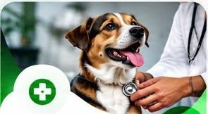 Pet Digestion