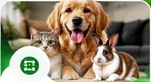 Pet List