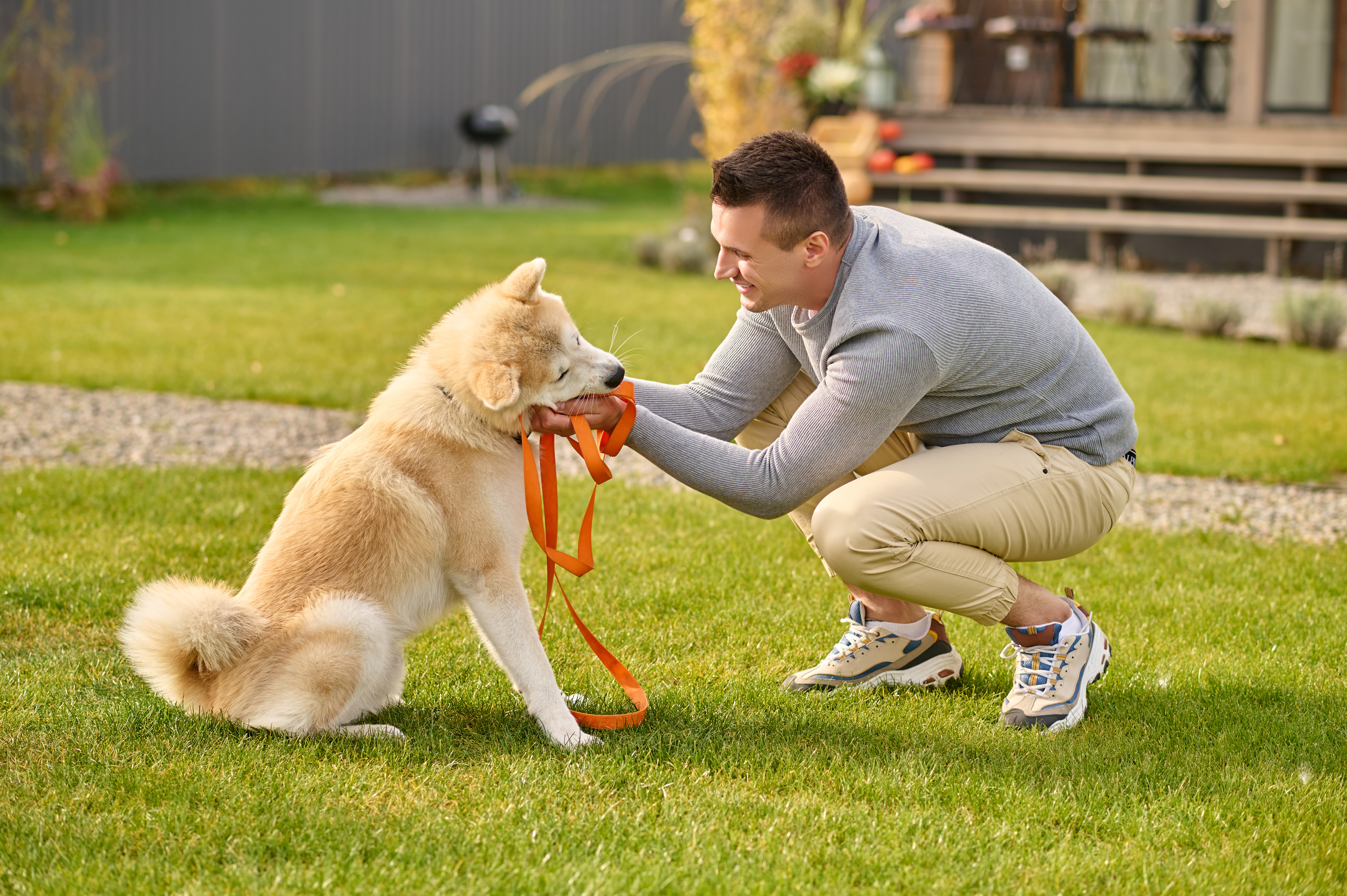 pet training